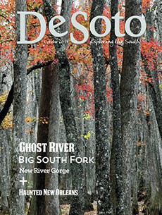 [cover of DeSoto magazine, October 2014 issue]